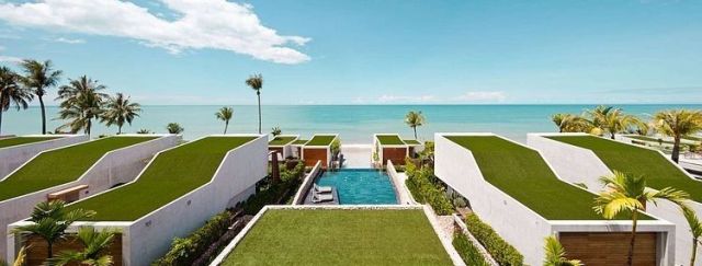 CasalaFlora00
